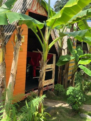 Beach Shack Chalet - Garden View Aframe Small Unit Kampong Juara Buitenkant foto